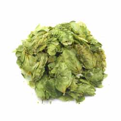 Columbus Leaf Hops