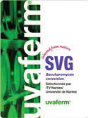 Dry Wine Yeast - Uvaferm SVG (8 g)