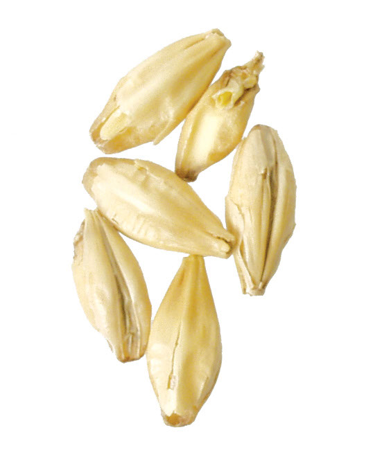 California Select 2-Row 5 lb Milled